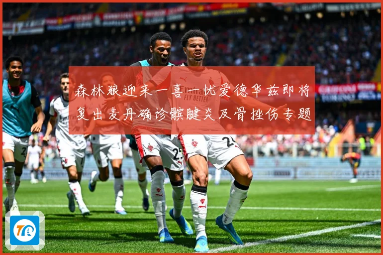 森林狼迎来一喜一忧爱德华兹即将复出麦丹确诊髌腱炎及骨挫伤专题观察-深度解析