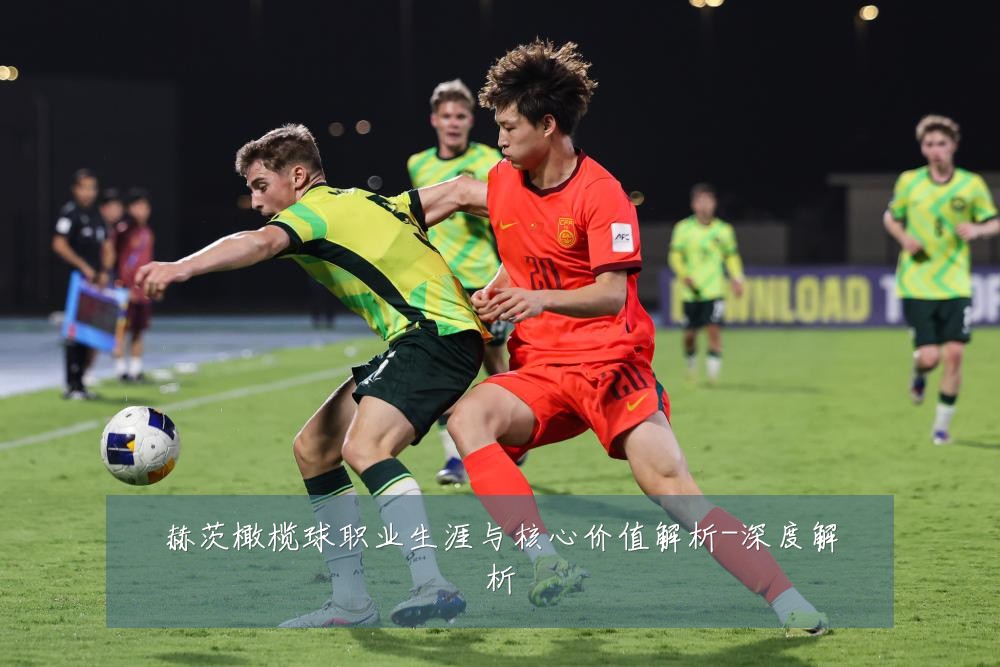 赫茨橄榄球职业生涯与核心价值解析-深度解析
